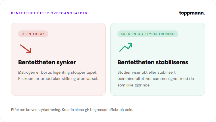 Infografikk: bentetthet etter overgangsalder uten tiltak versus med kreatin og styrketrening