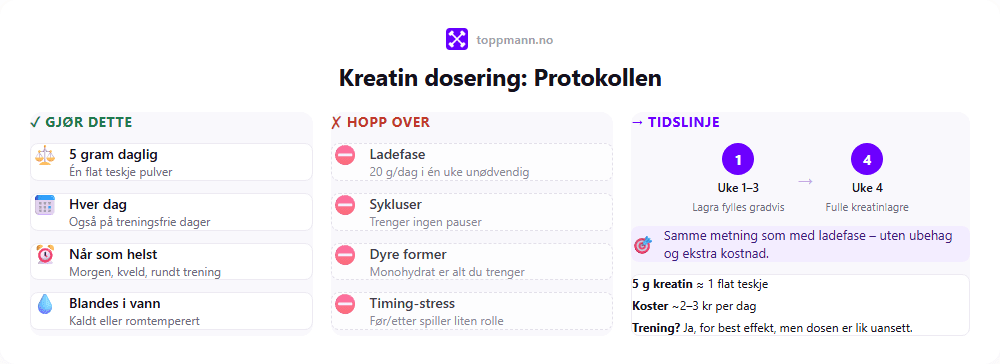 Infografikk som viser kreatin dosering protokollen. 5 gram daglig, hver dag, blandet i vann. Hopp over ladefase, sykluser og dyre former. Tidslinje fra uke 1 til full metning ved uke 4.