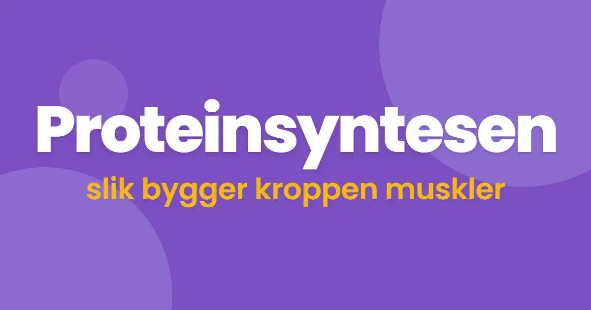 Proteinsyntesen